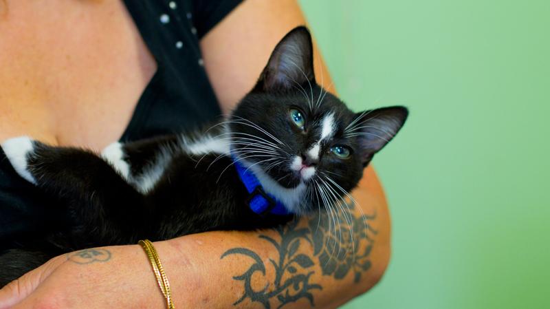 darcynews's tweet photo. Why you should care about pets in Vancouver's Downtown Eastside -- and how you can help. http://t.co/fEMeQh3CKz http://t.co/A0cbEx5rxv