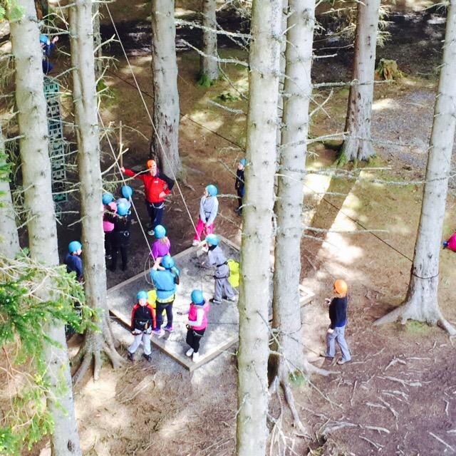 Milecastle Primary (@milecastle_pri) on Twitter photo 