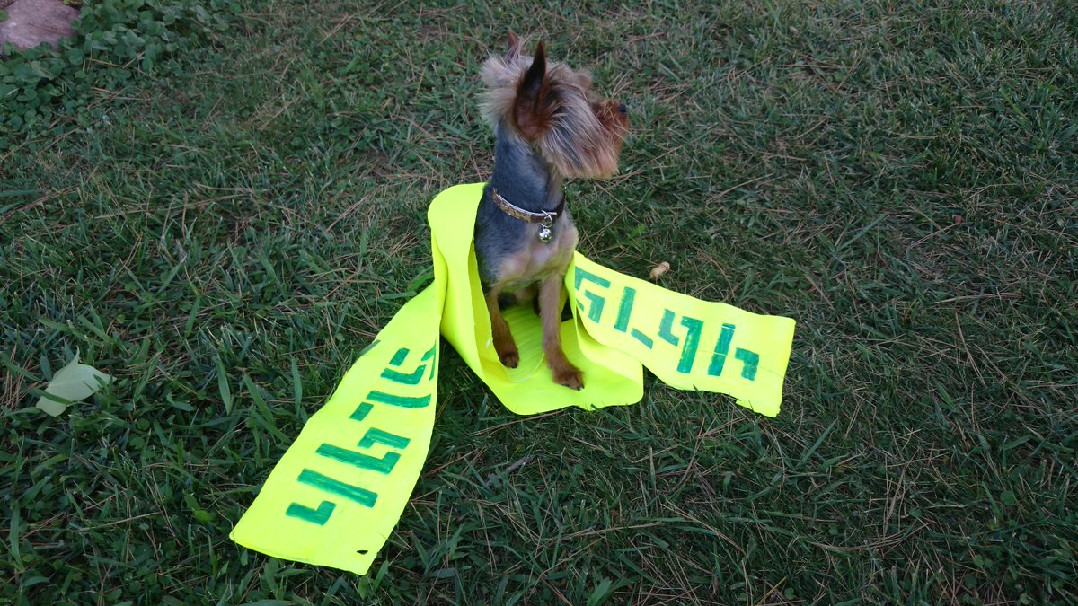 4675ART's tweet image. Solidarizamos a todo tipo de ser vivo. #animales #solidaridad #art #artist #arteurbano #pinturamural #graffiti