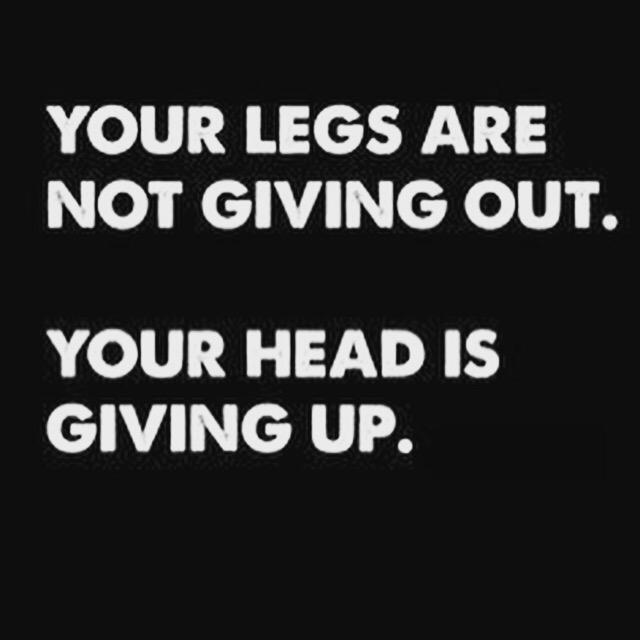 ript_io's tweet photo. Anyone have #legday today? http://t.co/pJ61Ye0IXW