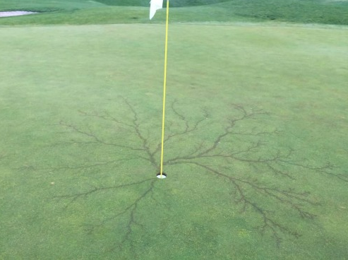 GolfDigest's tweet photo. This is what happens to a green when lightning hits a flagstick. http://t.co/X0vsKWzYWQ http://t.co/4YzWoMPkOL