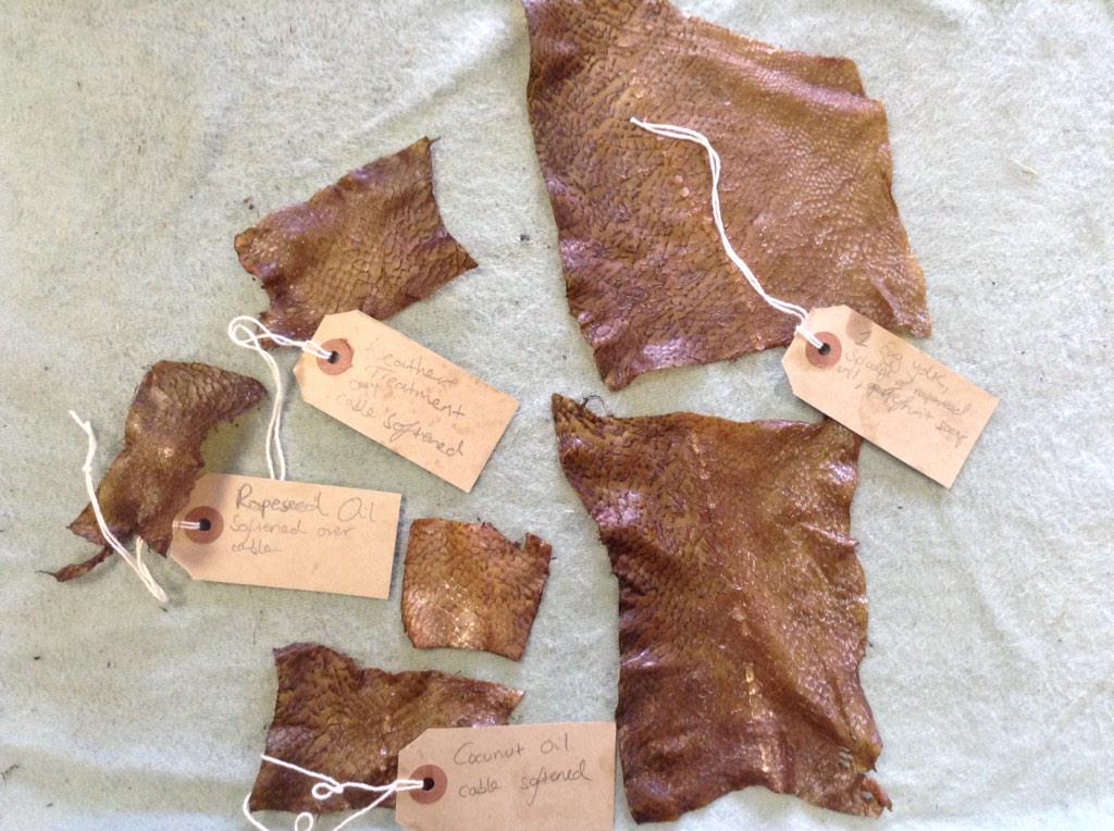 skillsharednd's tweet image. Trying out lots of different softening techniques today @skillsharednd #fishleather #traditionalcrafts