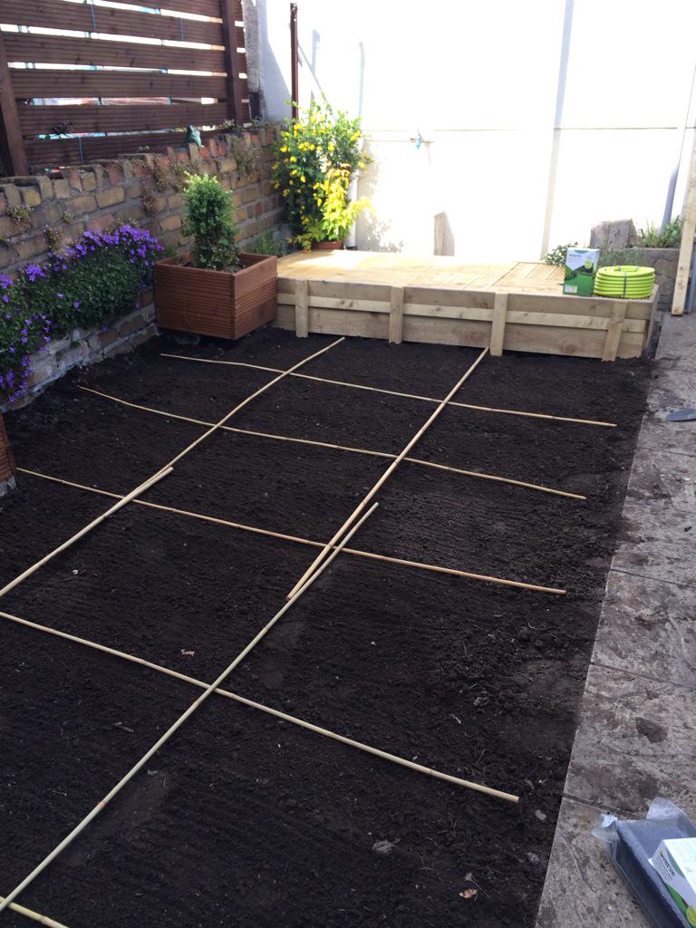 ergonjon's tweet photo. Garden watch update: #seeds #antibirdnet
Excitement will die down now cos not in garden until wkend. #phew http://t.co/L3p9nq4bBX