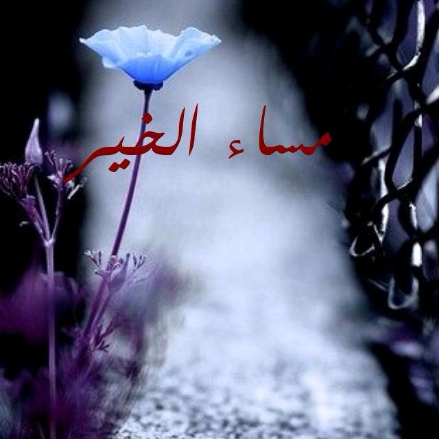 www_33_'s tweet photo. مساء الخير..🌹 http://t.co/zHAjB6bpbC