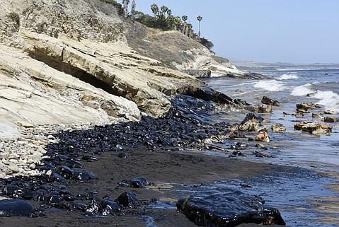 SierraClub's tweet photo. More sad, shocking photos of the #SantaBarbaraOilSpill by Paul Wellman of @SBIndpndnt: http://t.co/qhzMdTr1Xk http://t.co/Rz23nvf5tM