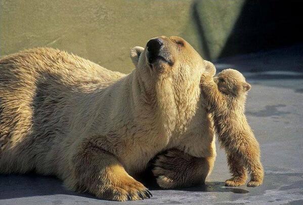 Cryptoaldia's tweet photo. ¿Te puedo contar un secreto? http://t.co/gMYrzECtgE