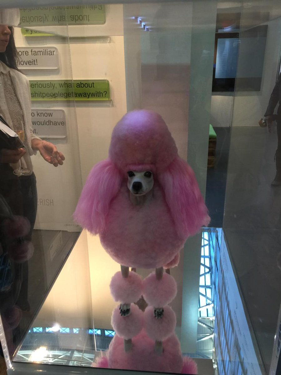 MICAgallery's tweet image. Perfect pet! #UNIXgallery @Art15London_