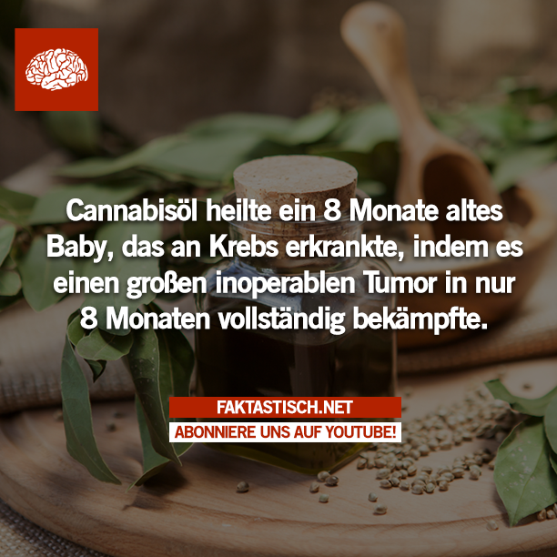 faktastisch's tweet photo. http://t.co/dUjPtPacYi