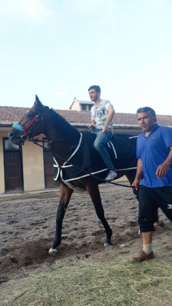 kat_semih's tweet photo. http://t.co/OBUEKyQ08P