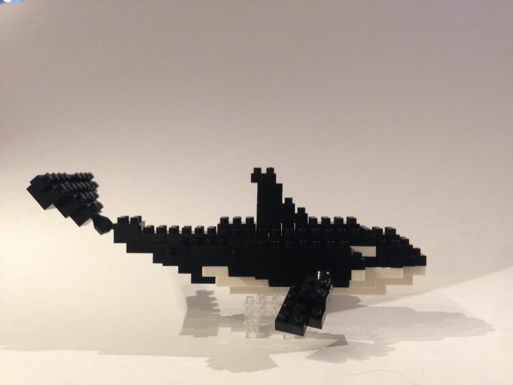 #EmptyTheTanks (@orcas_hq) on Twitter photo 