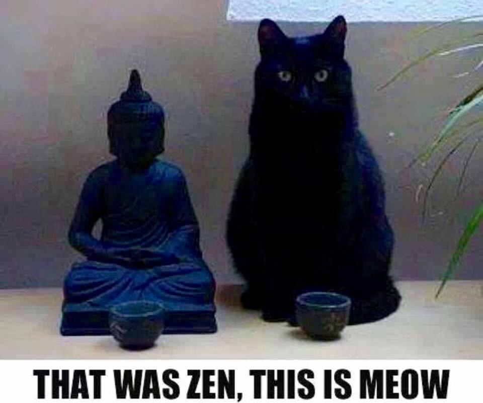 Blake Ryan tweet media