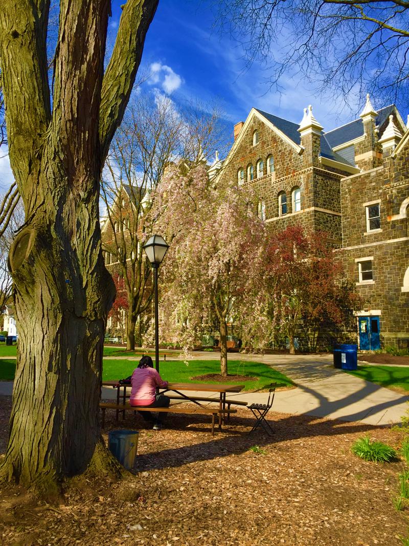 MoravianU's tweet photo. All is quiet after a great 1st day of #MayReg...looking forward to seeing our next group of new Greyhounds tomorrow. http://t.co/OzlDTfisWM