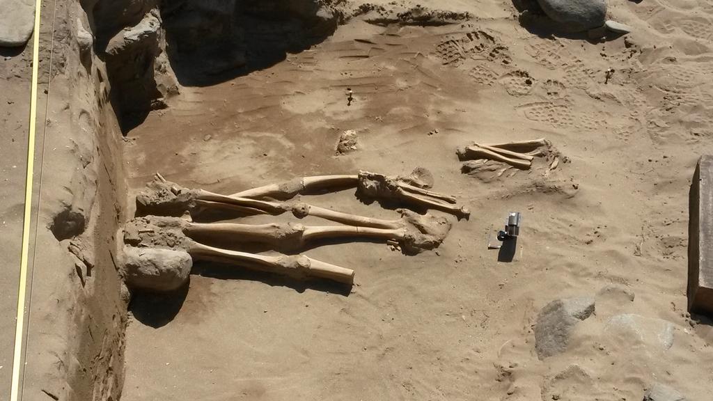 KatieAHemer's tweet photo. Ohh we've got a lovely double burial here! Only one more full day on site #stpatrickschapel @DyfedArch http://t.co/X6yFlGVNvy