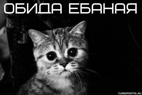 Обида ебаная фото