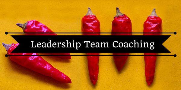 RobCooke2's tweet photo. I'll be sending proposals for leadership team coaching. Know of an organization that could benefit from this? http://t.co/LpkPuyLLqK