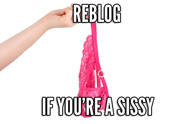 SissyMeet's tweet photo. Retweet if you're a sissy! http://t.co/Ii42E5taLd - Sissy dating http://t.co/CK32c9Ts7v