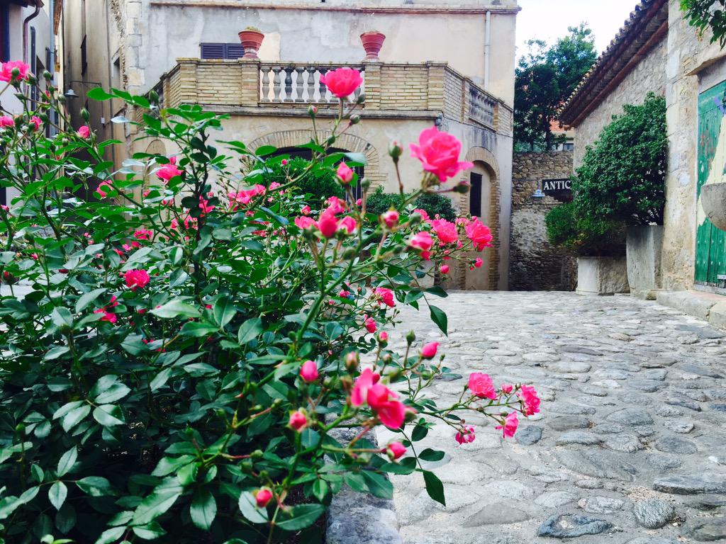 ajperalada's tweet photo. Carrer de l'Oli de #Peralada @VilesFlorides #VilesFlorides #Catalunya #CatalunyaExperience #Empordà #Flors #Florides http://t.co/XX6xc81LCi