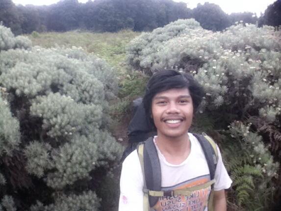 edothomas's tweet photo. Halooo http://t.co/13pFierGmH