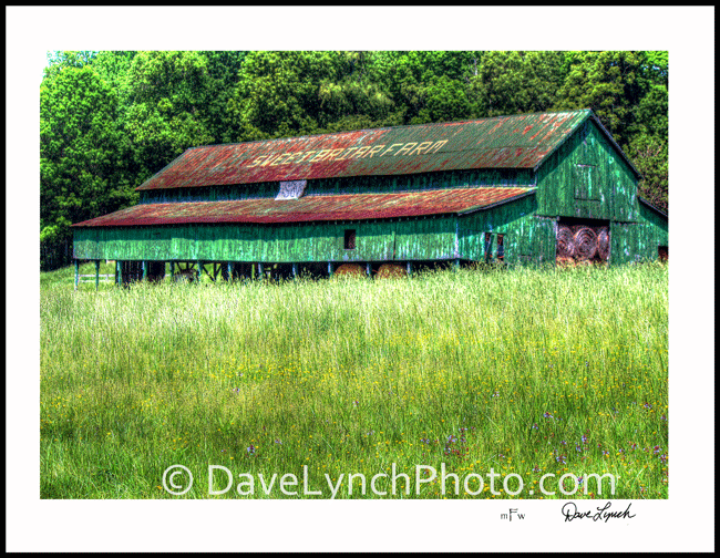 VirginiaPhotog's tweet photo. #SaveSweetBriar #VirginiaPhotography #VAPics #DaveLynchPhoto.com http://t.co/FtAYebwpuv