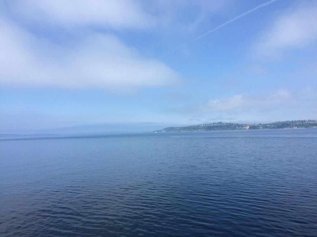 HadeelBogary's tweet image. #brainbridge island 💕