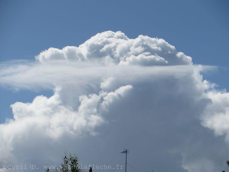 Meteolafleche's tweet photo. Encore #cieldetraine à #Nantes avec ce Cumulus #Congestus @MeteoContact @KeraunosObs @ChasingLive @meteomayenne http://t.co/kFtpqtF3qp