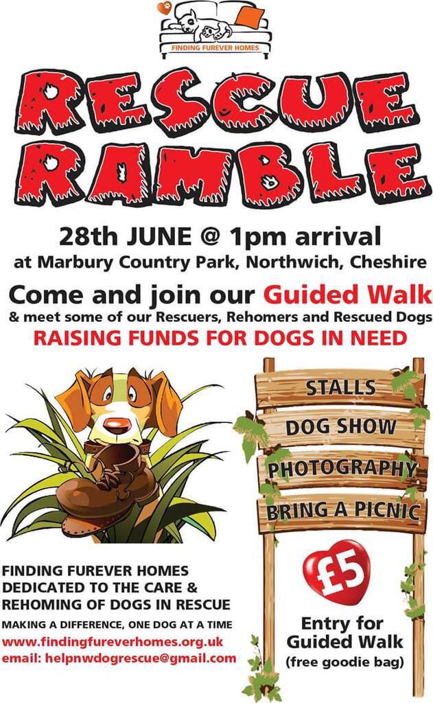 FindingFureverHomes tweet media