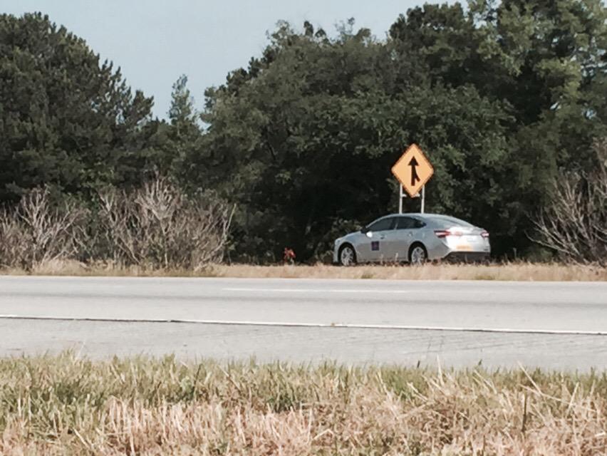 RaqLeeRod's tweet image. Red flowers mark the spot along I-16 where yesterday's crash killed 5 people.