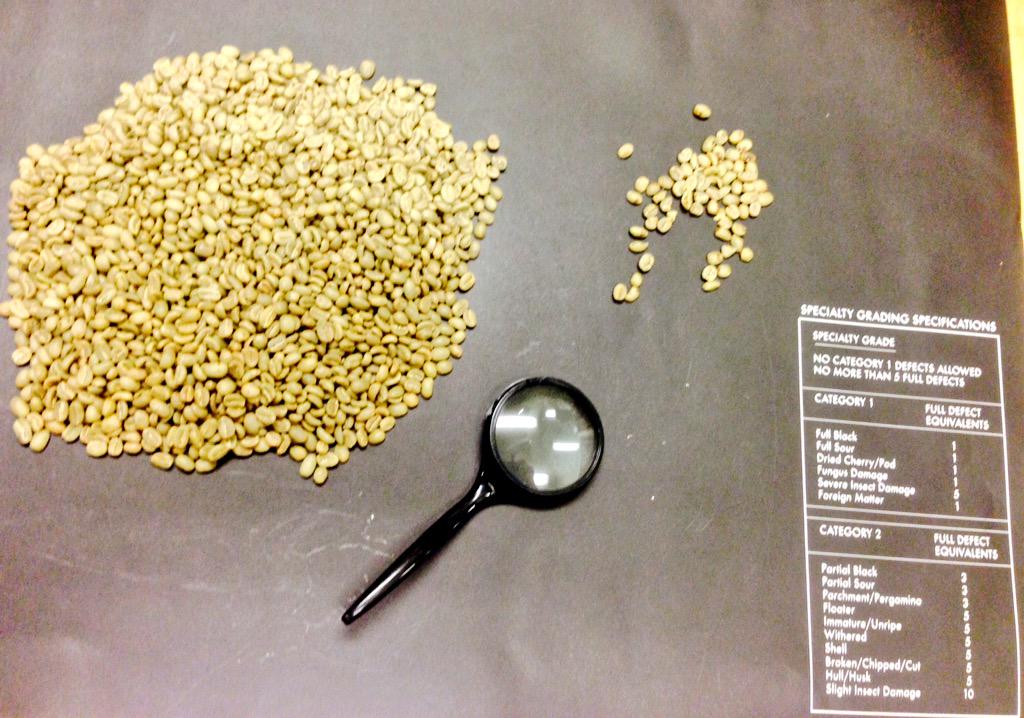 joshdelsol's tweet photo. Ethiopia samples have landed! Sidama's lovely coffee courtesy of Fero Co-op! Wednesday is interesting @LGTrading ! http://t.co/M1TPrmJeZt