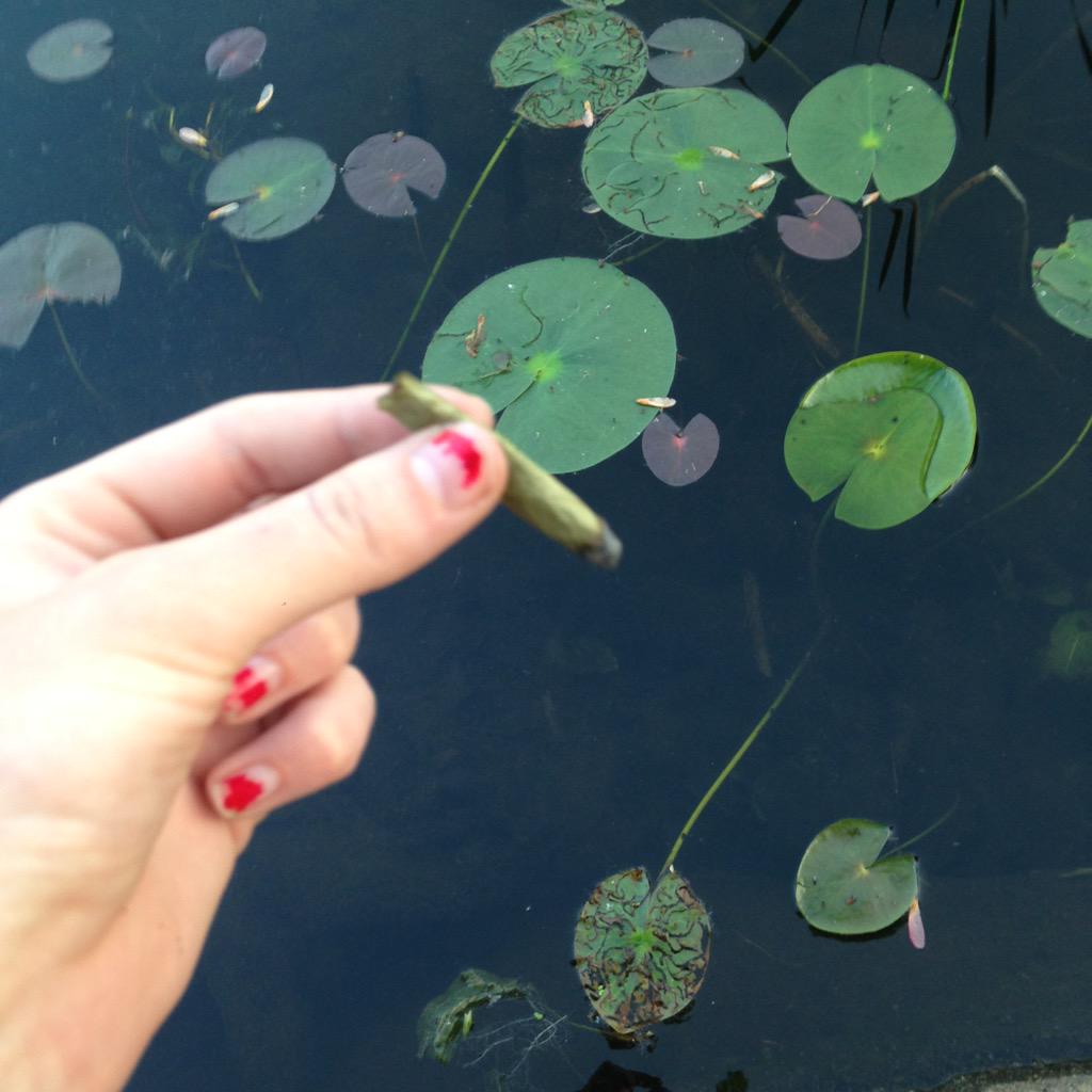 _highlogic's tweet image. l&apos;s nd Lilly&apos;s