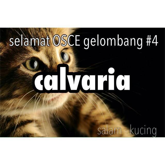 Kedokteran UNS 2014 tweet media