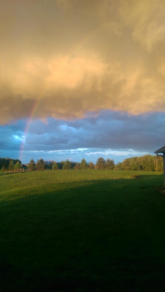 Had to do another one of this day...#beautiful