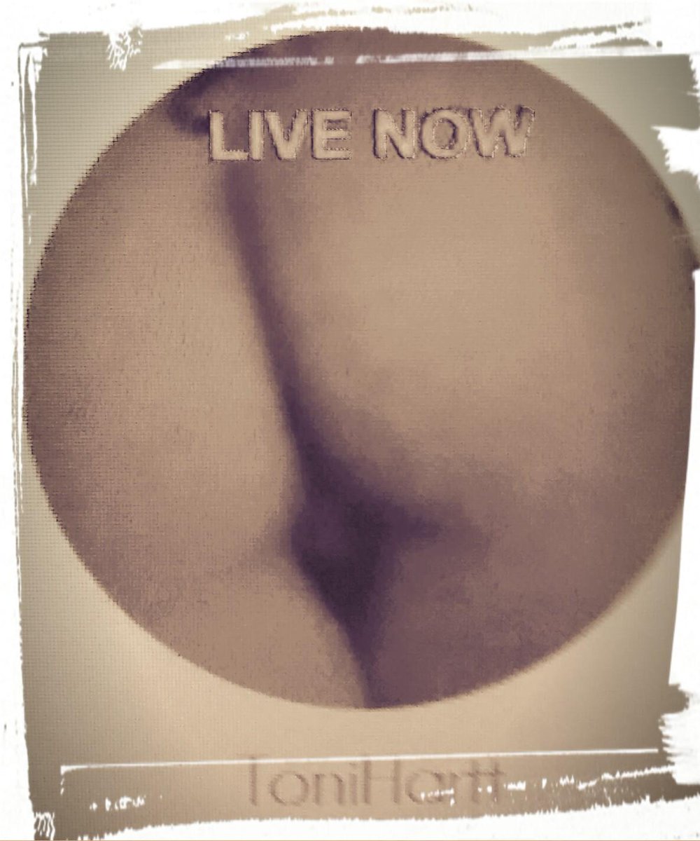 ToniHartt's tweet photo. ♥15 USERS FOR FREE DILDO & ANAL SHOW!♥ https://t.co/INFtrrwrgJ ♥ #joinMyday @SocialCamGod @TeamCamgirls @CamPromotion http://t.co/coTzqtcNnO