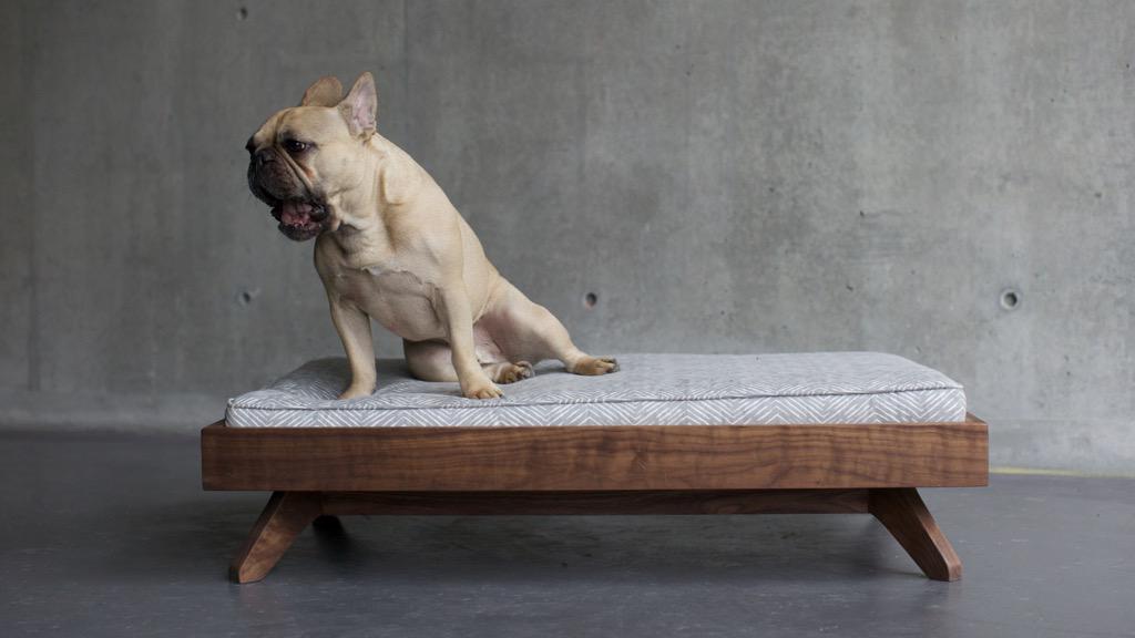 pup_and_kit's tweet photo. Bed time? #dog #cat #dogbed #cutepuppy #puppy #tired #dogbed #love #goodnight #homedecor #design #furniture #home http://t.co/gVIXUr4l6A