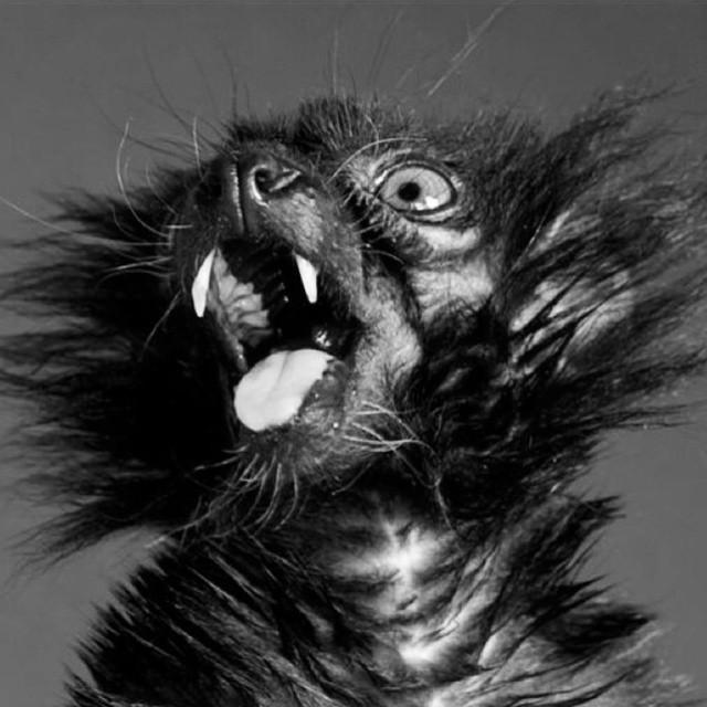 JacobyShaddix's tweet image. Current mood.