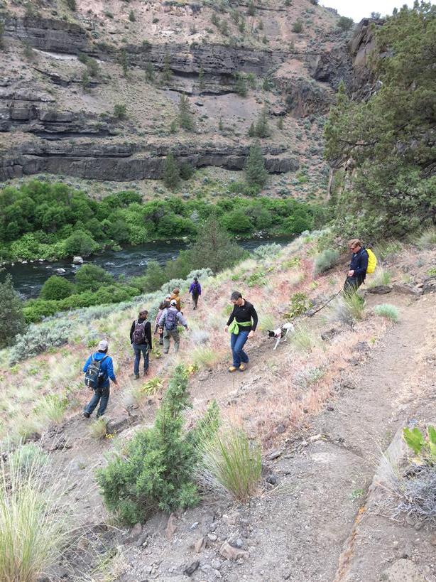 Bend Beer Librarian tweet media