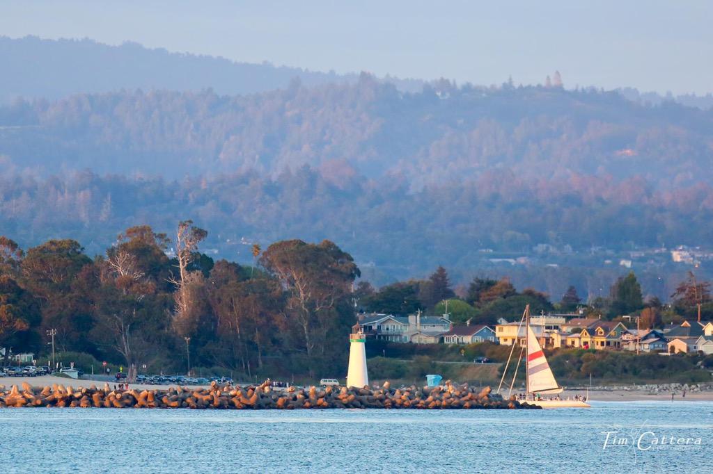 ChardonnaySailing tweet media