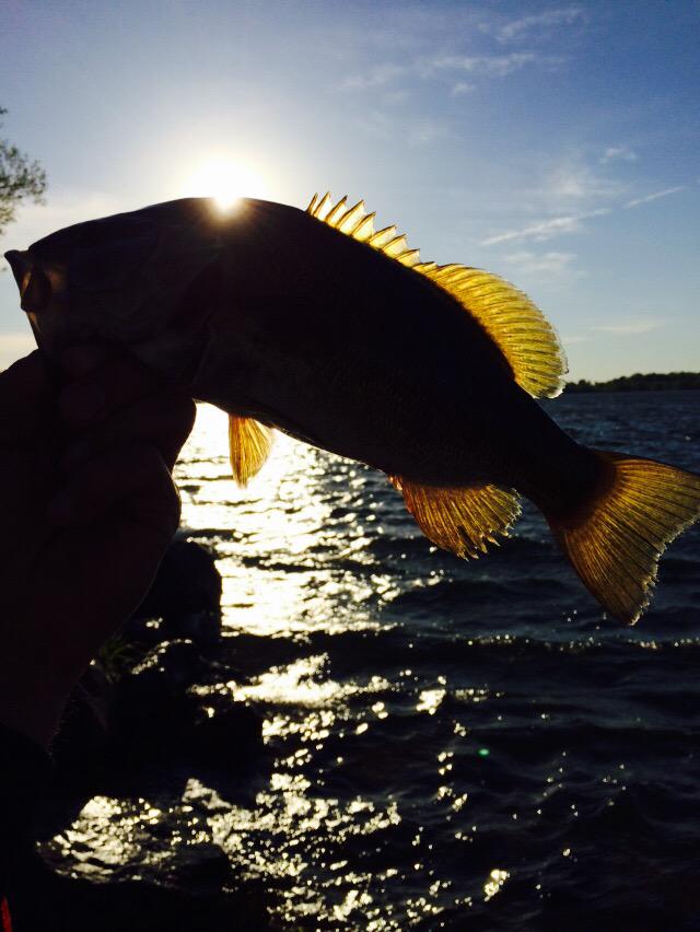 That's how you end a good day