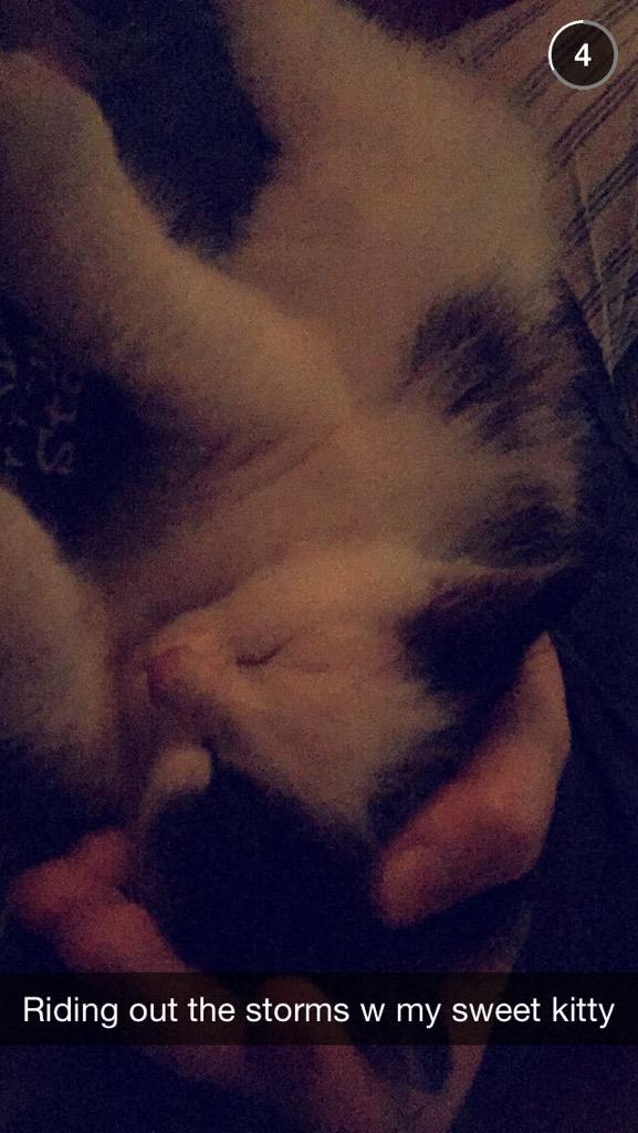 gracekirkland24's tweet image. Scout is by far the cutest thing I've ever laid eyes on besides the bf😍💖 #KittenObsessed