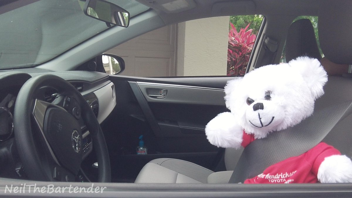 NeilBartender's tweet photo. Happy driving! -Miss TOYota
#cute #teddy #bear #toyota http://t.co/AkHq9pBIef