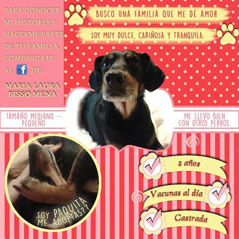 NACHALARES's tweet photo. ADOPCION RESPONSABLE PARA ELLOS!!, ME AYUDAN RT?, GRACIASS!!! http://t.co/01xQfBzOM6