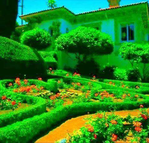 jamalshafi124's tweet photo. 22Jfkk @AlAr http://t.co/ghAx8W48Ph