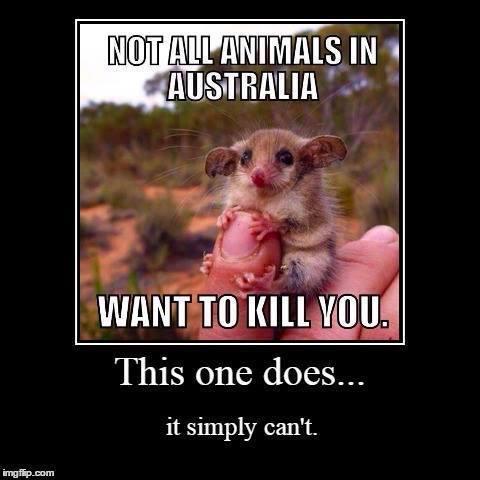 хочу австралия. хочу австралия. хочу австралия.