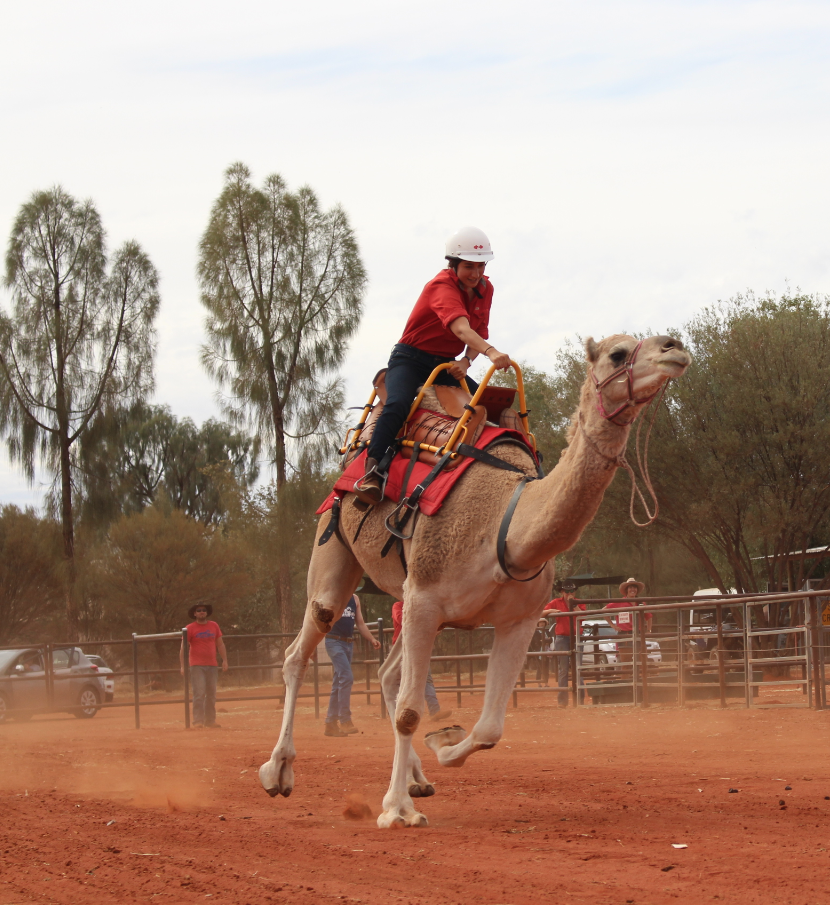 8 day to go folks … get ready to watch the dust fly ! <a href="/UluruCamelCup/">Uluru Camel Cup</a> @AusOutbackNT