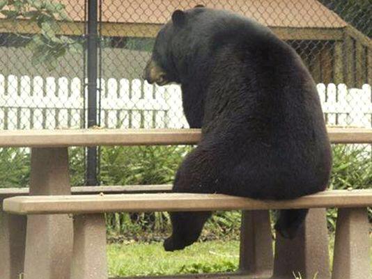 DuvalBear's tweet photo. @JenRDeVore @MelissainJax http://t.co/lHmQ9mol95