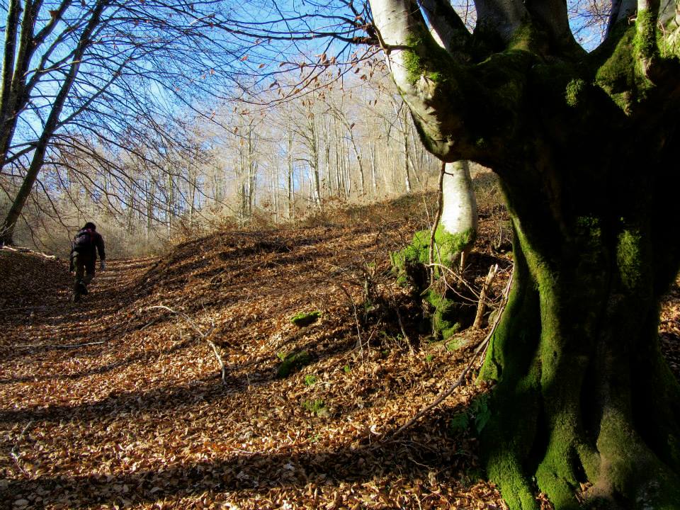 Escursionismoit's tweet photo. LA VIA DEL #CINABRO 23-24 Mag 2015  #Trekking #Amiata Necropoli Etrusca #Sovana #GAE #Toscana http://t.co/hatczcilF4 http://t.co/Zl2TIPW2Ud