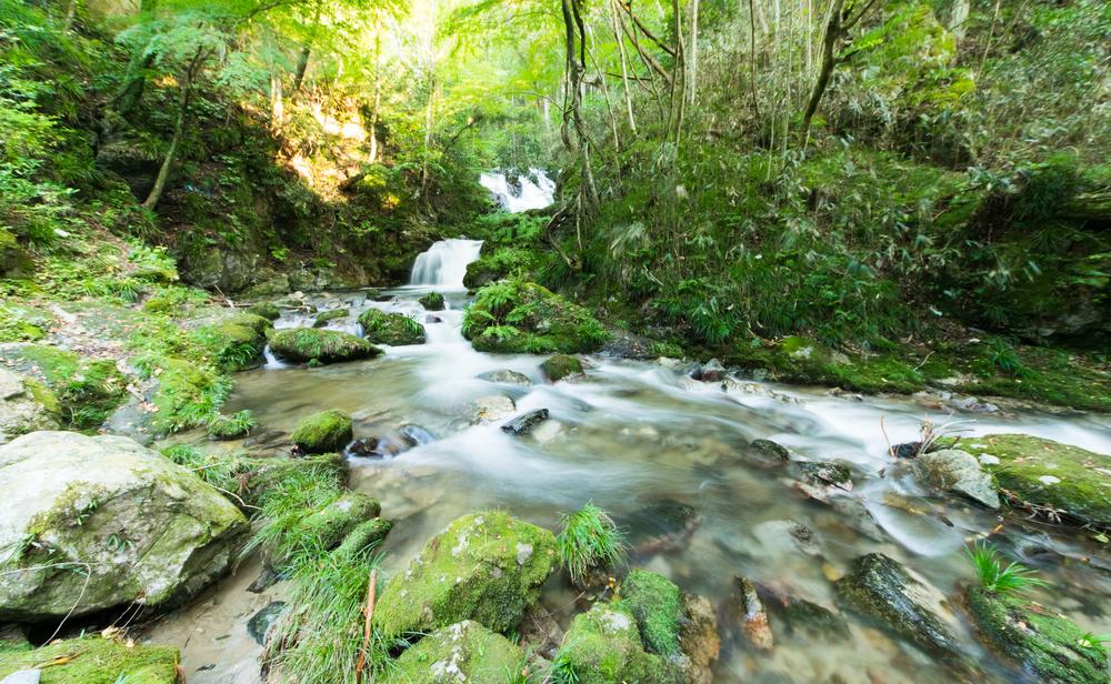 FrontiersIn's tweet image. Review, synthesis of 294 papers: #Stream #MicrobialDiversity response to #EnvironmentalChanges
fron.tiers.in/go/6SQtTA