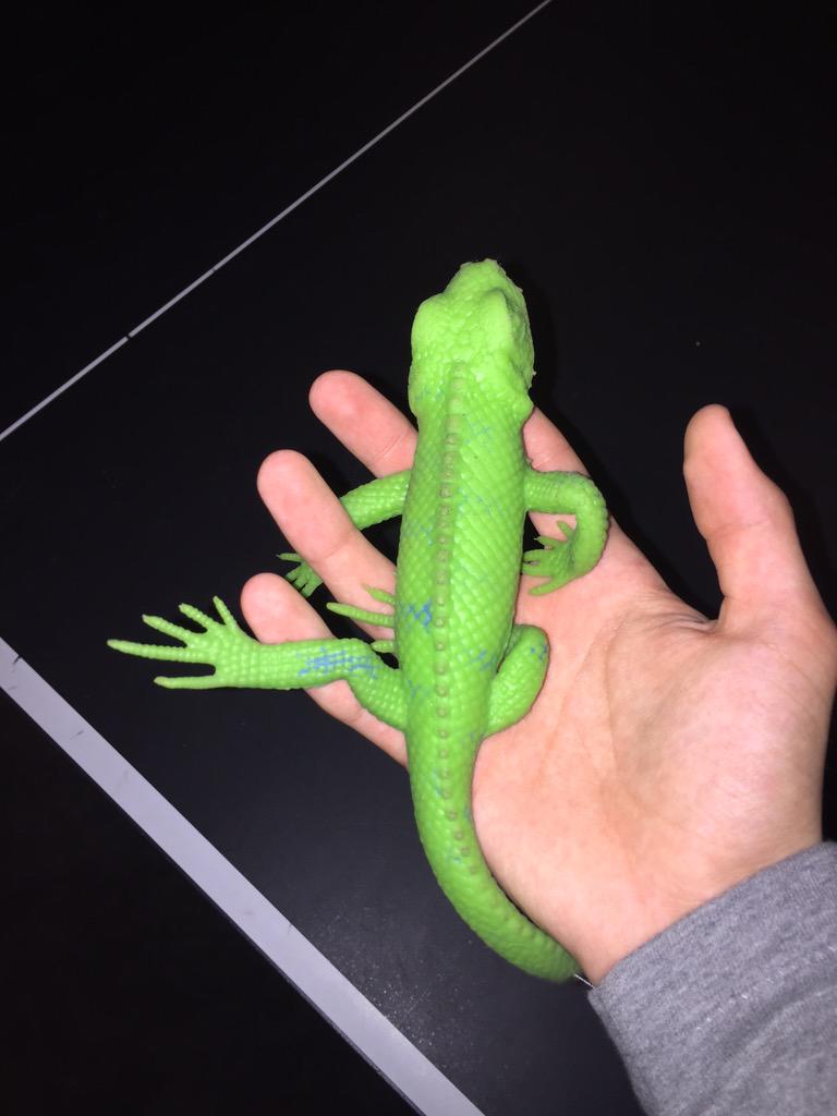 HunterJayKing's tweet image. IF I GET TEN RETWEETS I GET TO SMACK HIM IN THE FACE WITH THIS LIZARD