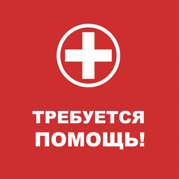 Требуется помощь. Требуется помощь