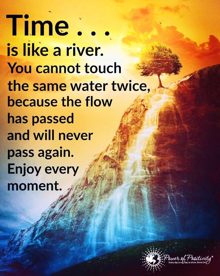 @TheMedicineWolf.bsky.social (@themedicinewolf) on Twitter photo 