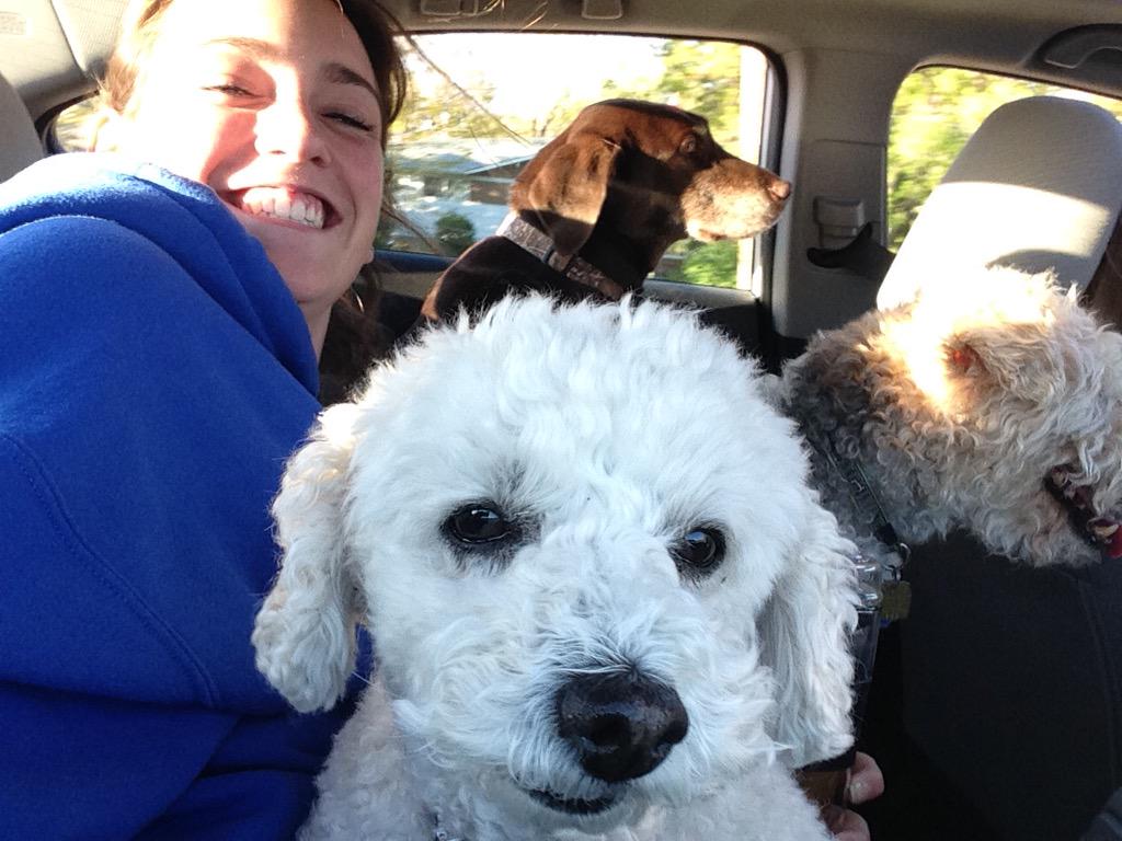 ChanelleBoehmer's tweet photo. Just a casual pic of my extreme happiness today #dogsss http://t.co/44L0qK3IDL